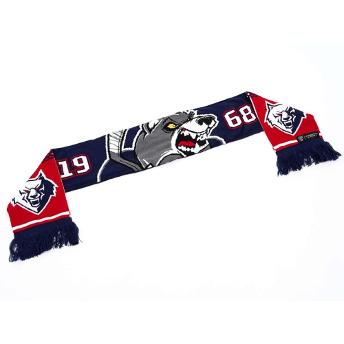 Шарф ХК Нефтехимик фото 2