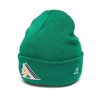 Шапка ХК Салават Юлаев