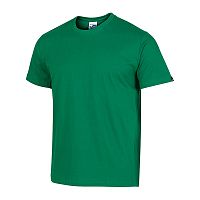 Футболка Joma DESERT Green