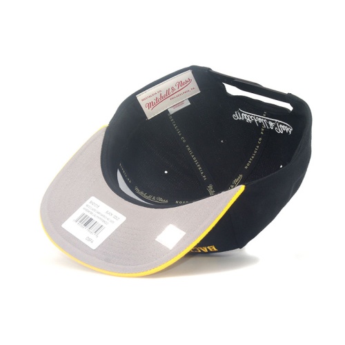 Снэпбэк Лос-Анджелес Лейкерс фото 3