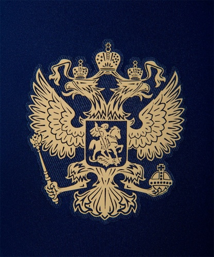 Футбольные трусы JOGEL NATIONAL PerFormDRY Away Shorts фото 7 Футбольные трусы JOGEL NATIONAL PerFormDRY Away Shorts фото 7