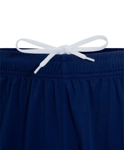 Футбольные трусы JOGEL NATIONAL PerFormDRY Away Shorts фото 8 Футбольные трусы JOGEL NATIONAL PerFormDRY Away Shorts фото 8